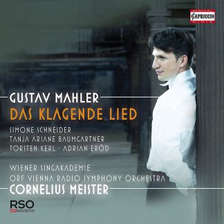 Photo No.1 of Mahler: Das klagende Lied