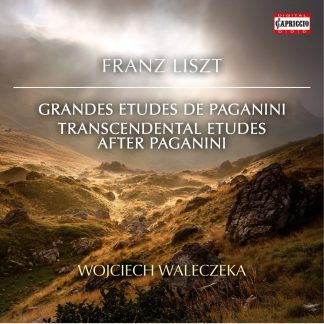 Photo No.1 of Liszt: Grandes études de Paganini & Transcendental Etudes after Paganini
