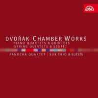 Photo No.1 of Dvorák: Chamber Works Volume 1