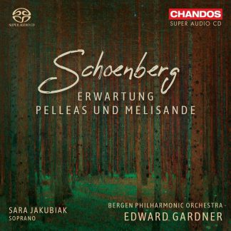 Photo No.1 of Schoenberg: Pelleas und Melisande, Erwartung