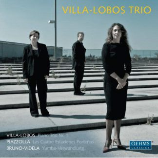 Photo No.1 of Villa-Lobos: Piano Trio No. 1