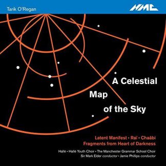 Photo No.1 of Tarik O'Regan: A Celestial Map of the Sky