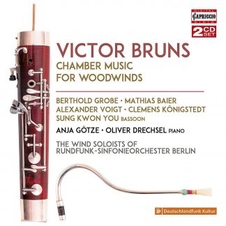 Photo No.1 of Victor Bruns: Chamber Music for Woodwinds
