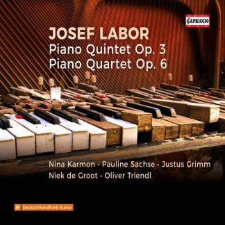 Photo No.1 of Josef Labor: Piano Quintet & Piano Quartet