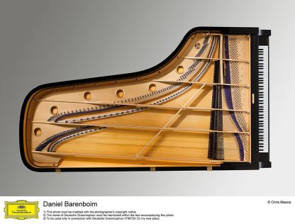 Photo No.4 of Daniel Barenboim: On My New Piano