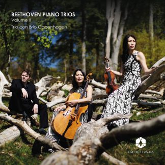 Photo No.1 of Beethoven: Piano Trios, Vol. 2