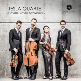 Photo No.1 of Tesla Quartet - Haydn, Ravel, Stravinsky