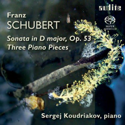 Photo No.1 of Schubert: Klavierstücke & Piano Sonata No. 17