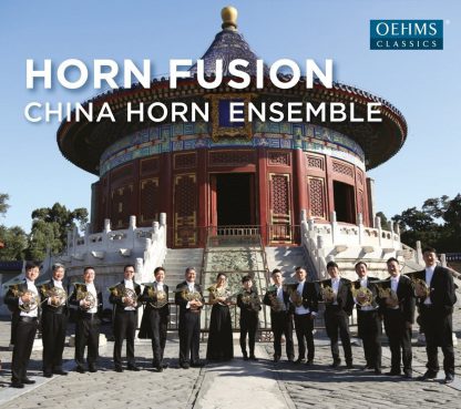Photo No.1 of Horn Fusion