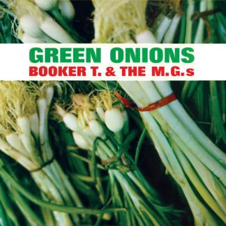 Photo No.1 of Green Onions