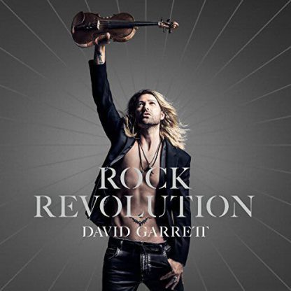Photo No.1 of Rock Revolution: David Garrett