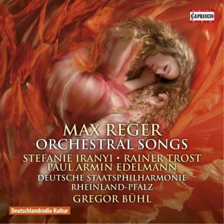 Photo No.1 of Reger: Orchestral Songs