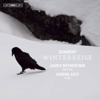 Photo No.1 of Franz Schubert: Winterreise D.911