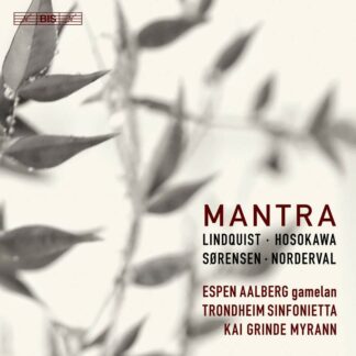 Photo No.1 of Mantra - music for sinfonietta