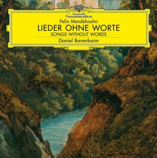 Photo No.1 of Felix Mendelssohn: Lieder ohne Worte (Vinyl 180g)