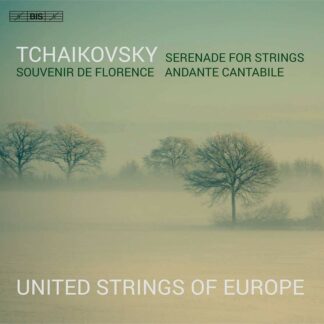 Photo No.1 of P. I. Tchaikovsky: Serenade for Strings, Souvenir de Florence, Andante Cantabile