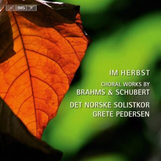 Photo No.1 of Norwegian Soloist's Choir - Im Herbst: Choral Works By J. Brahms & F. Schubert