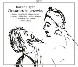 Photo No.1 of Joseph Haydn: L'incontro improvviso