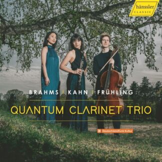 Photo No.1 of Quantum Clarinet Trio
