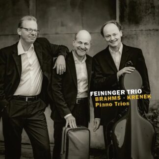 Photo No.1 of Johannes Brahms & Ernst Krenek: Piano Trios - Feininger Trio