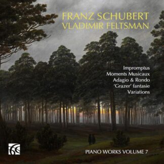 Photo No.1 of Franz Schubert: Piano Works, Vol. 7 - Vladimir Feltsman